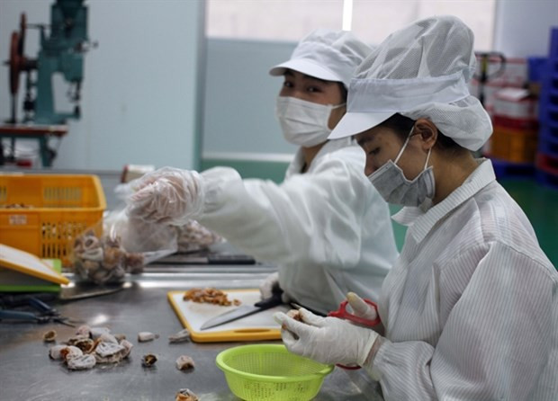 Министерство работает над проектом по развитию переработки сельхозпродукции ảnh 1 Министерство работает над проектом по развитию переработки сельхозпродукции ảnh 1