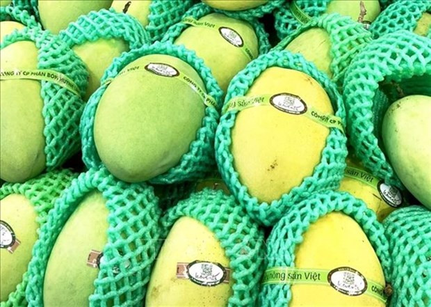 Министерство устанавливает критерии прослеживаемости продуктов и товаров ảnh 1 Министерство устанавливает критерии прослеживаемости продуктов и товаров ảnh 1