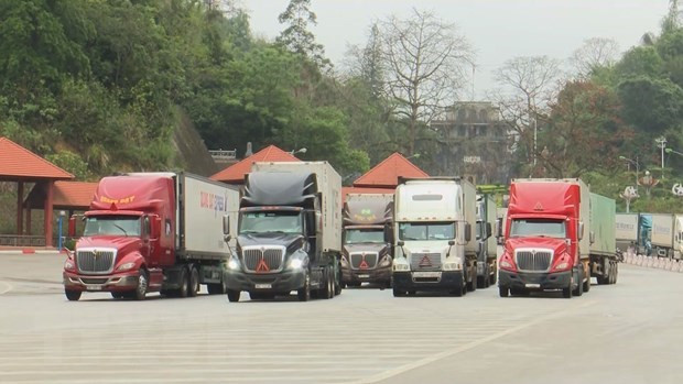 Министерство призывает ужесточить пограничный контроль, чтобы остановить COVID-19 ảnh 1