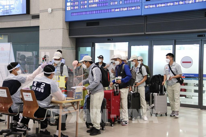 РК является одним из ключевых экспортных рынков труда Вьетнама ảnh 1 РК является одним из ключевых экспортных рынков труда Вьетнама ảnh 1