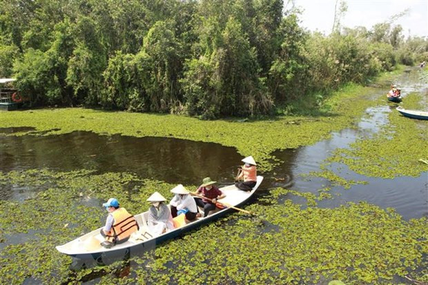 Провинция Лонган уделяет внимание развитию «зеленого» туризма в новой ситуации ảnh 1