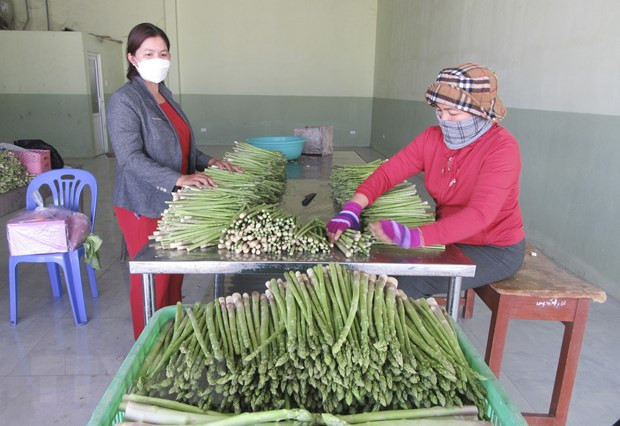 Ниньтхуан: выделено около 730 млрд. донгов на реализацию программы устойчивого сокращения бедности ảnh 1 Ниньтхуан: выделено около 730 млрд. донгов на реализацию программы устойчивого сокращения бедности ảnh 1