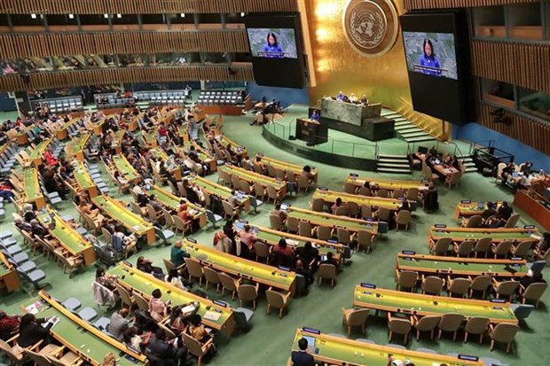 Вьетнам предлагает расширять возможности женщин в области цифровой трансформации ảnh 2 Вьетнам предлагает расширять возможности женщин в области цифровой трансформации ảnh 2