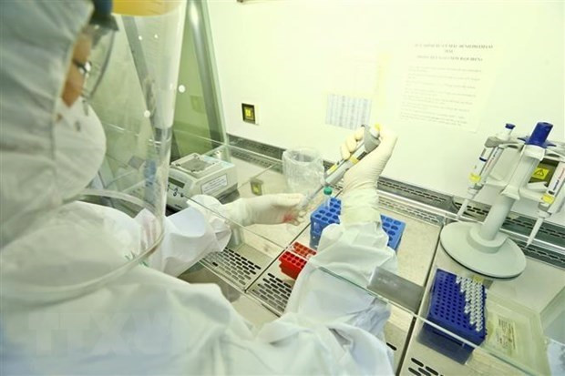 Пандемия COVID-19 на 11 февраля: 775 человек завершили карантин и отправились домой праздновать Тэт ảnh 2