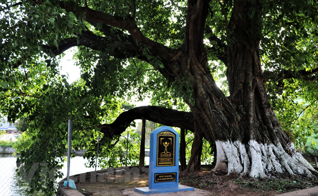 Зить Зиеп Чанг — 1.000-летняя деревня на севере Вьетнама ảnh 4