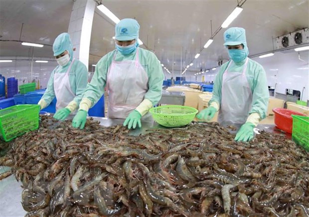 VASEP выпустит карту вьетнамских предприятий по производству морепродуктов ảnh 1 VASEP выпустит карту вьетнамских предприятий по производству морепродуктов ảnh 1