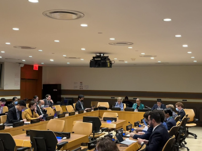 Вьетнам председательствовал на консультации по Проекту резолюции Генеральной Ассамблеи ООН по противодействию эпидемии ảnh 1 Вьетнам председательствовал на консультации по Проекту резолюции Генеральной Ассамблеи ООН по противодействию эпидемии ảnh 1