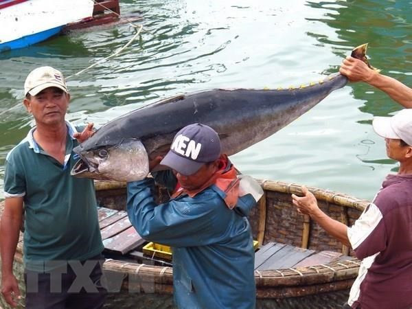 Вьетнамский экспорт морепродуктов вырос на 8% в прошлом году ảnh 1 Вьетнамский экспорт морепродуктов вырос на 8% в прошлом году ảnh 1