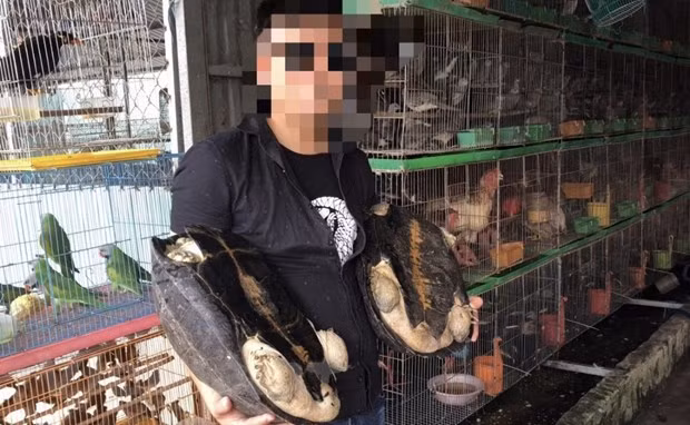 Статья 3: «Быстрые» проверки и "бессилие" рейнджерских сил ảnh 2