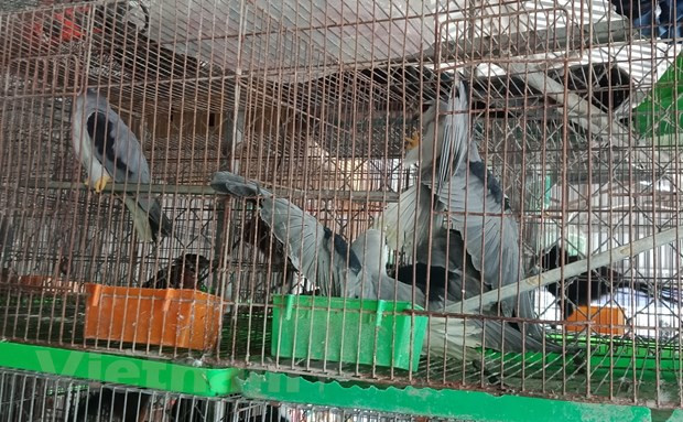 Статья 3: «Быстрые» проверки и "бессилие" рейнджерских сил ảnh 4 Статья 3: «Быстрые» проверки и "бессилие" рейнджерских сил ảnh 4