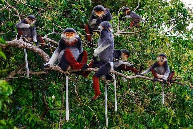 Ниньтхуан: Сохранение биоразнообразия в интересах устойчивого развития ảnh 1