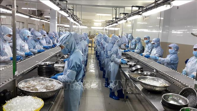 Экспорт морепродуктов в первой половине 2021 года превысил 4,1 млрд долларов США ảnh 1 Экспорт морепродуктов в первой половине 2021 года превысил 4,1 млрд долларов США ảnh 1