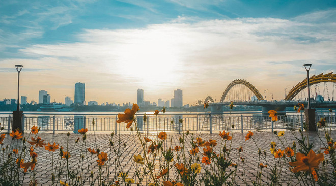 Продвижение кухни Дананга вместе со знаменитостями в сети ảnh 1