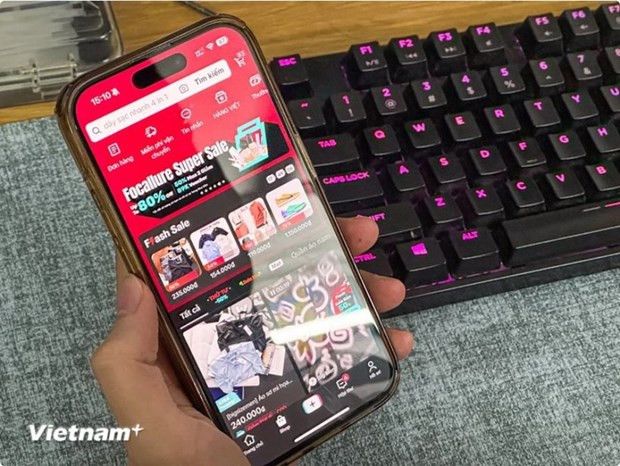 Форум онлайн-бизнеса во Вьетнаме посвящен устойчивому развитию электронной коммерции ảnh 1 Форум онлайн-бизнеса во Вьетнаме посвящен устойчивому развитию электронной коммерции ảnh 1