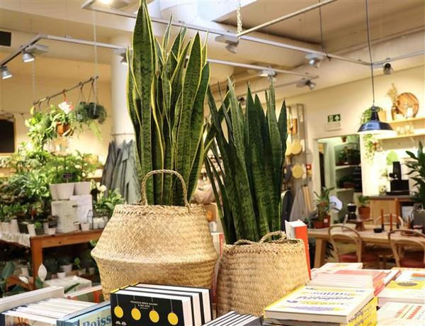 Вьетнамские экологически чистые изделия ручной работы привлекают бельгийских потребителей ảnh 2 Вьетнамские экологически чистые изделия ручной работы привлекают бельгийских потребителей ảnh 2