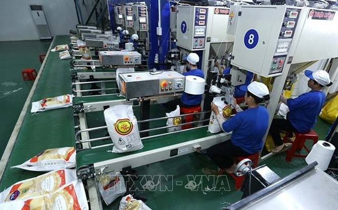 Экспортная цена вьетнамского риса показала самый высокий уровень в мире ảnh 1