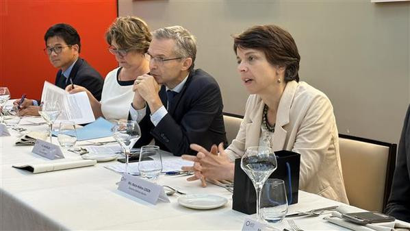 Заместитель премьер-министра встретился с руководителем французского агентства развития ảnh 3 Заместитель премьер-министра встретился с руководителем французского агентства развития ảnh 3