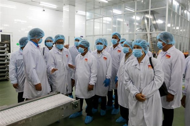 Город Хошимин и Камбоджа обмениваются опытом в профсоюзной деятельности ảnh 2