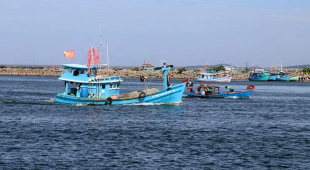 Необходимо полностью останавливать вьетнамские рыболовные суда, незаконно ведущие рыбный промысел в иностранных водах ảnh 1 Необходимо полностью останавливать вьетнамские рыболовные суда, незаконно ведущие рыбный промысел в иностранных водах ảnh 1