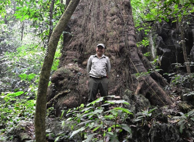 Инициатива по отпуску животных в природу в национальном парке Вьетнама ảnh 2