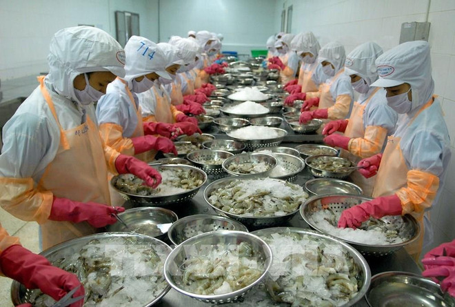 Экономика Вьетнама в 2020 году: успех самостоятельности ảnh 2