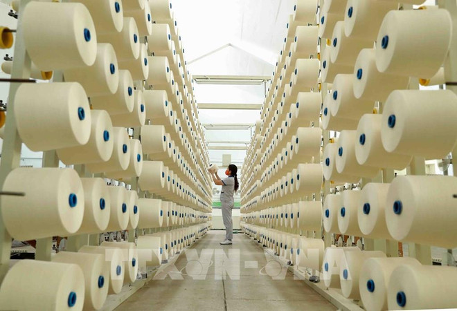 Экономика Вьетнама в 2020 году: успех самостоятельности ảnh 3