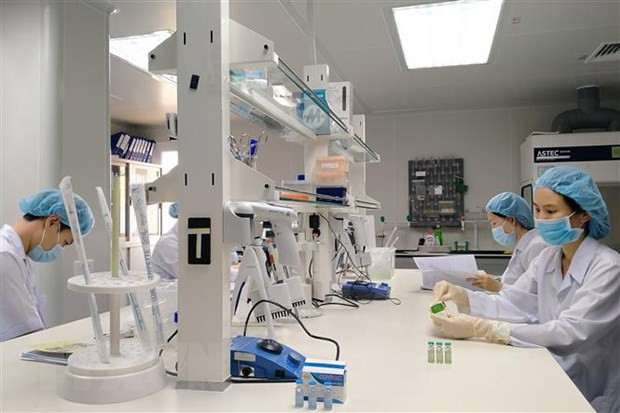 Пошаговое освоение технологии вакцины против COVID-19 ảnh 2 Пошаговое освоение технологии вакцины против COVID-19 ảnh 2