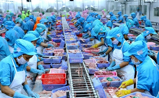 Экспорт водных продуктов снизился более чем на 35% ảnh 1 Экспорт водных продуктов снизился более чем на 35% ảnh 1