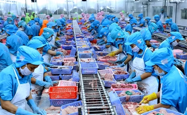 Экспорт водных продуктов снизился более чем на 35% ảnh 1