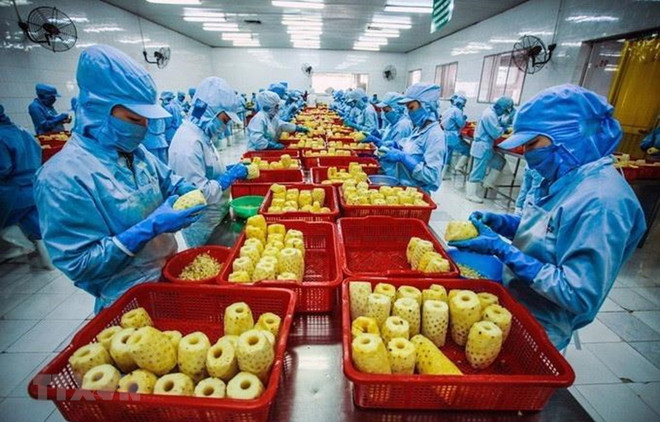 Экспорт вьетнамской сельхозпродукции в Японию вырос ảnh 1 Экспорт вьетнамской сельхозпродукции в Японию вырос ảnh 1
