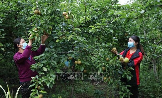 Утверждена национальная целевая программа по устойчивому сокращению бедности на 2021-2025 годы ảnh 1 Утверждена национальная целевая программа по устойчивому сокращению бедности на 2021-2025 годы ảnh 1