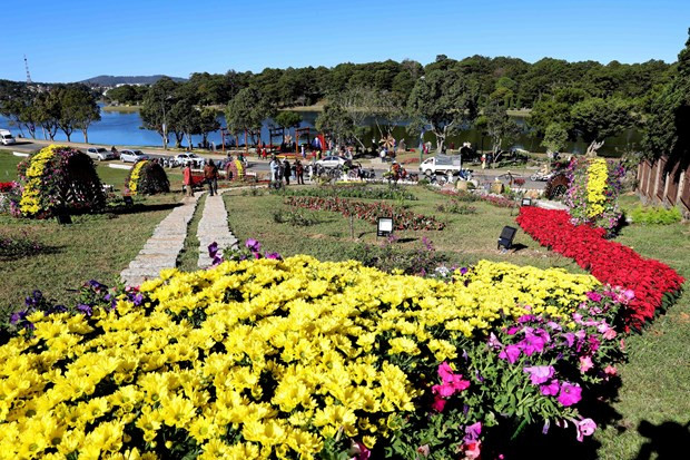 Далат удостоен награды Фестивального города Азии ảnh 1