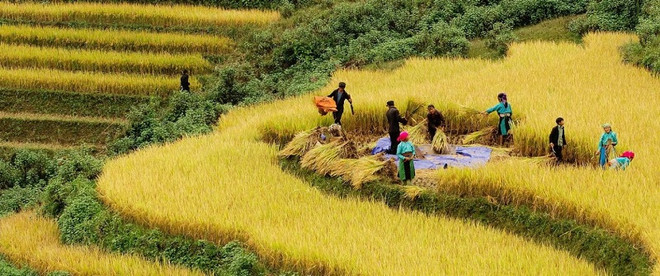 Ориентированный на сообщество в целях способствовать устойчивому развитию туризма ảnh 1 Ориентированный на сообщество в целях способствовать устойчивому развитию туризма ảnh 1