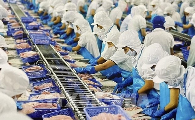 Ожидается, что экспорт продукции ПИИ и традиционной продукции отечественных предприятий восстановится в этом году ảnh 1 Ожидается, что экспорт продукции ПИИ и традиционной продукции отечественных предприятий восстановится в этом году ảnh 1