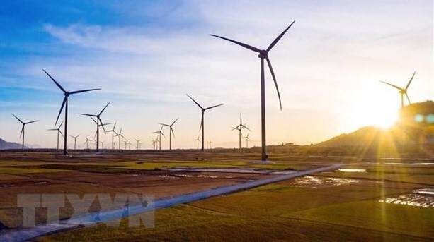 Миллионы долларов США по-прежнему идут на проекты зеленого роста ảnh 1 Миллионы долларов США по-прежнему идут на проекты зеленого роста ảnh 1