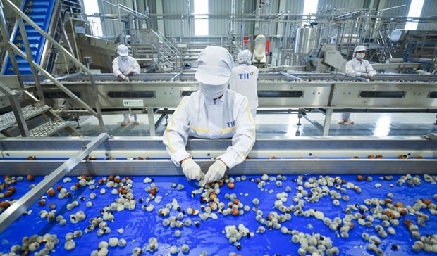 Завод по переработке свежих фруктов и овощей вступил в строй в Шонла ảnh 1