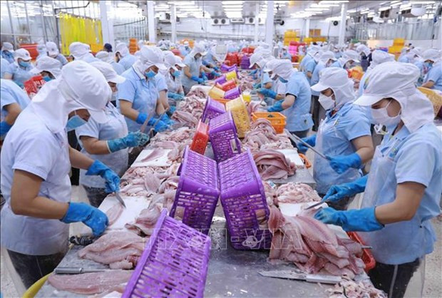 АБР прогнозирует рост ВВП Вьетнама в 2024 году на уровне 6% ảnh 2 АБР прогнозирует рост ВВП Вьетнама в 2024 году на уровне 6% ảnh 2