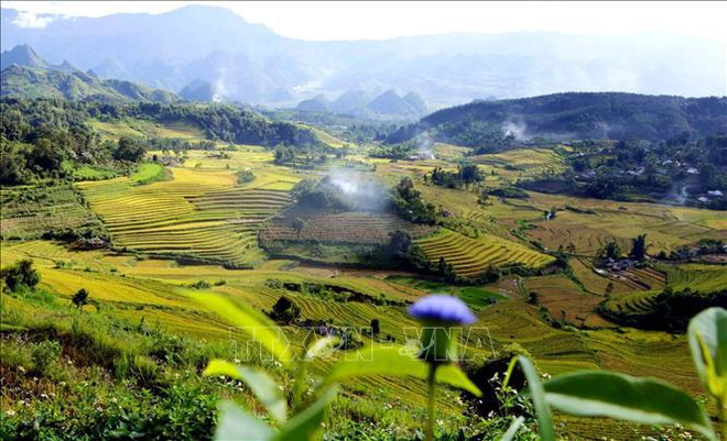 Террасные поля в Таленге ảnh 3