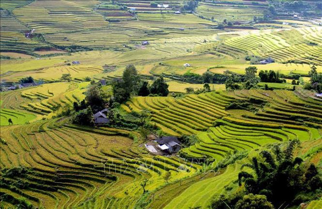 Террасные поля в Таленге ảnh 1