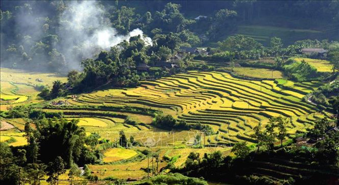 Террасные поля в Таленге ảnh 5