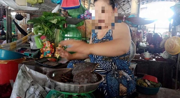 Статья 1: Проникая в “тюрьмы для животных”, в которых убивают редкие виды из “красной книги” Вьетнама ảnh 3 Статья 1: Проникая в “тюрьмы для животных”, в которых убивают редкие виды из “красной книги” Вьетнама ảnh 3