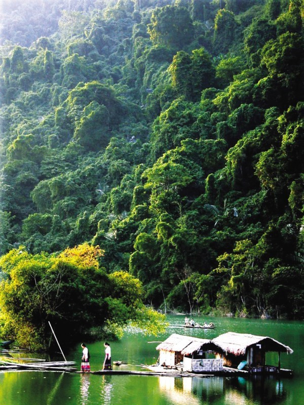 Изучение 11 мировых биосферных заповедников во Вьетнаме ảnh 6 Изучение 11 мировых биосферных заповедников во Вьетнаме ảnh 6