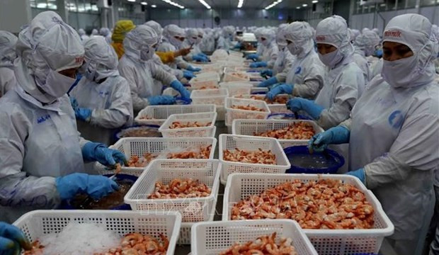 VASEP: Экспорт креветок достигнет 3,4 млрд. долл. США в 2023 году ảnh 1