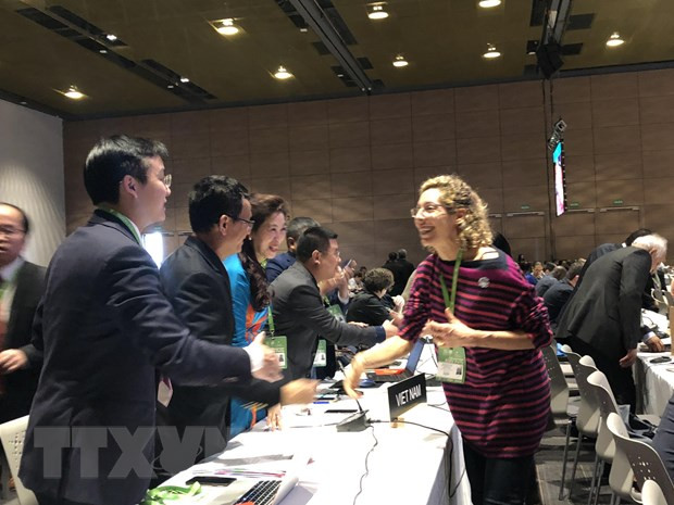 Практика пения «тхен» во Вьетнаме признана нематериальным культурным наследием человечества. ảnh 2 Практика пения «тхен» во Вьетнаме признана нематериальным культурным наследием человечества. ảnh 2