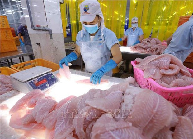 Экспорт рыбной продукции достигнет 10 млрд. долл. США ảnh 2 Экспорт рыбной продукции достигнет 10 млрд. долл. США ảnh 2