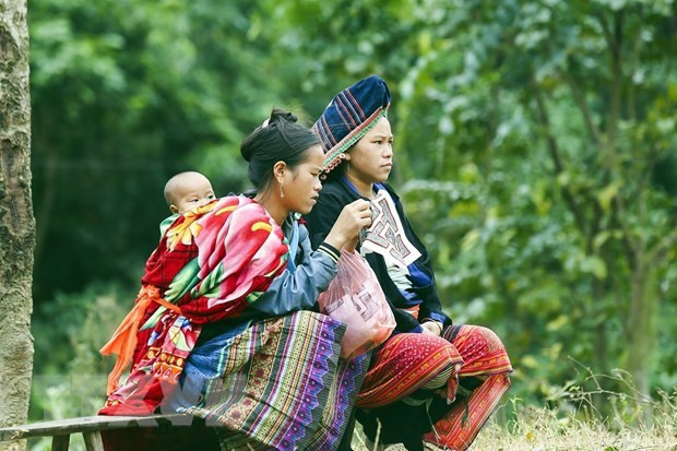 План реализации директивы Секретариата об устойчивом сокращении бедности ảnh 2 План реализации директивы Секретариата об устойчивом сокращении бедности ảnh 2
