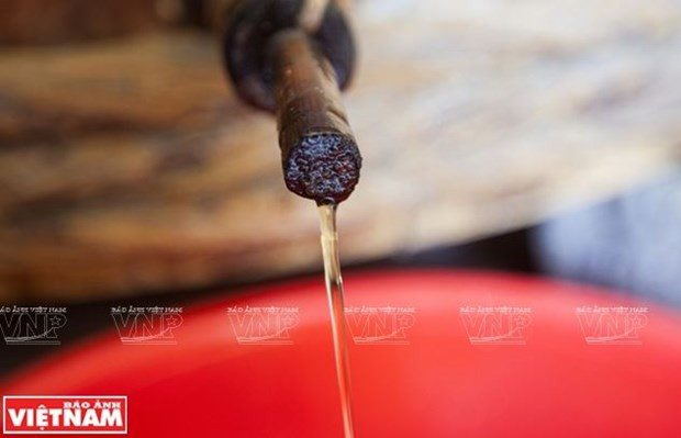 Продвижение ценностей рыбного соуса провинции Фуйен - культурного наследия Вьетнама ảnh 1