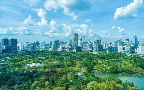 Деревообрабатывающая промышленность имеет возможности увеличить доходы от углеродных кредитов ảnh 2 Деревообрабатывающая промышленность имеет возможности увеличить доходы от углеродных кредитов ảnh 2
