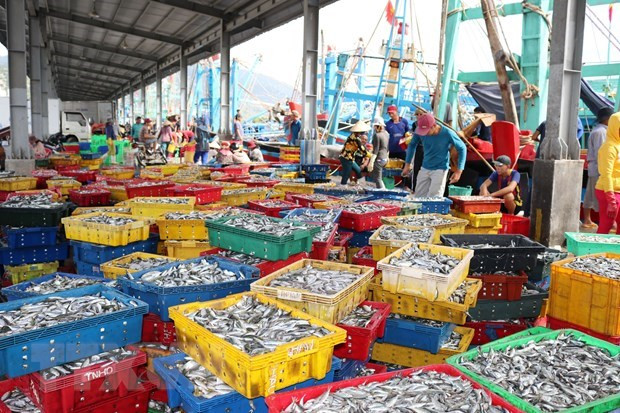 Конференция обсуждает способы борьбы с незаконным, незарегистрированным и нерегулируемым рыболовством ảnh 1 Конференция обсуждает способы борьбы с незаконным, незарегистрированным и нерегулируемым рыболовством ảnh 1