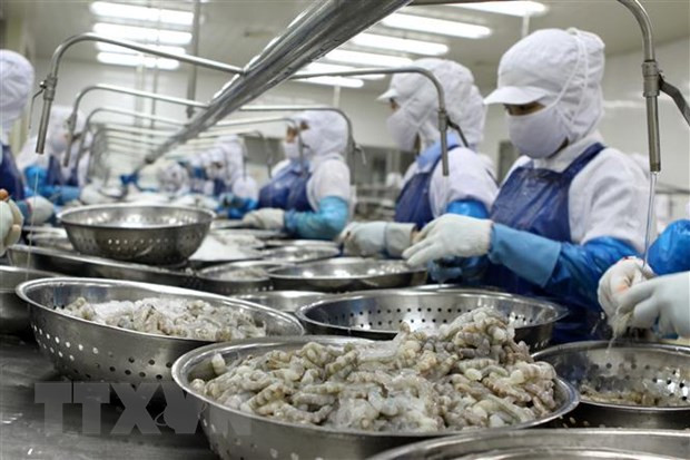 Положительный торговый баланс сельской, лесной и рыбной продукции увеличился почти на 49% в первом квартале 2020 года ảnh 1 Положительный торговый баланс сельской, лесной и рыбной продукции увеличился почти на 49% в первом квартале 2020 года ảnh 1